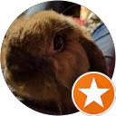 Steven Holmes profile picture